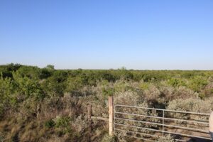 Property photo for land for sale in Duval County Texas