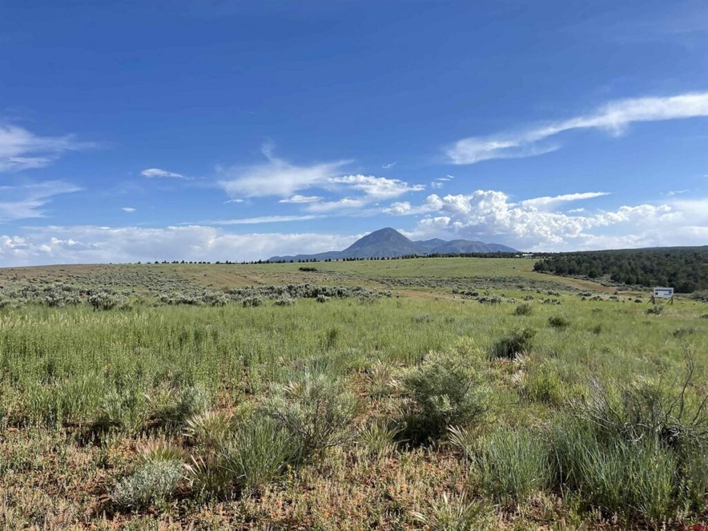 Property photo for land for sale in Montezuma County Colorado