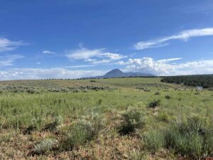 Property photo for land for sale in Montezuma County Colorado