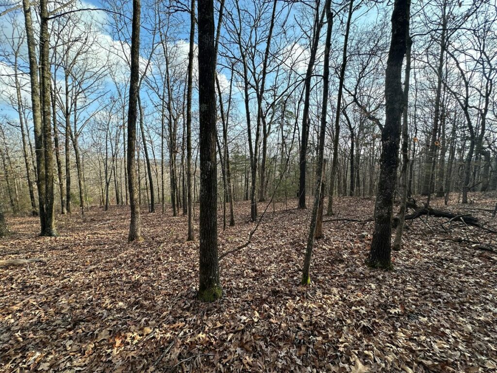 Property photo for land for sale in White County Arkansas