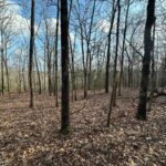 Property photo for land for sale in White County Arkansas