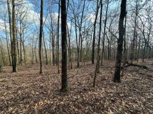 Property photo for land for sale in White County Arkansas