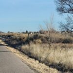 Property photo for land for sale in Torrance County New Mexico