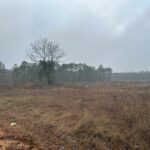 Property photo for land for sale in Hempstead County Arkansas