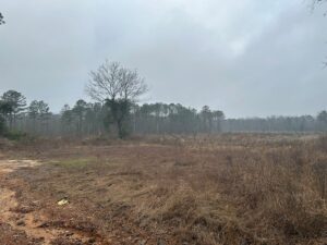 Property photo for land for sale in Hempstead County Arkansas