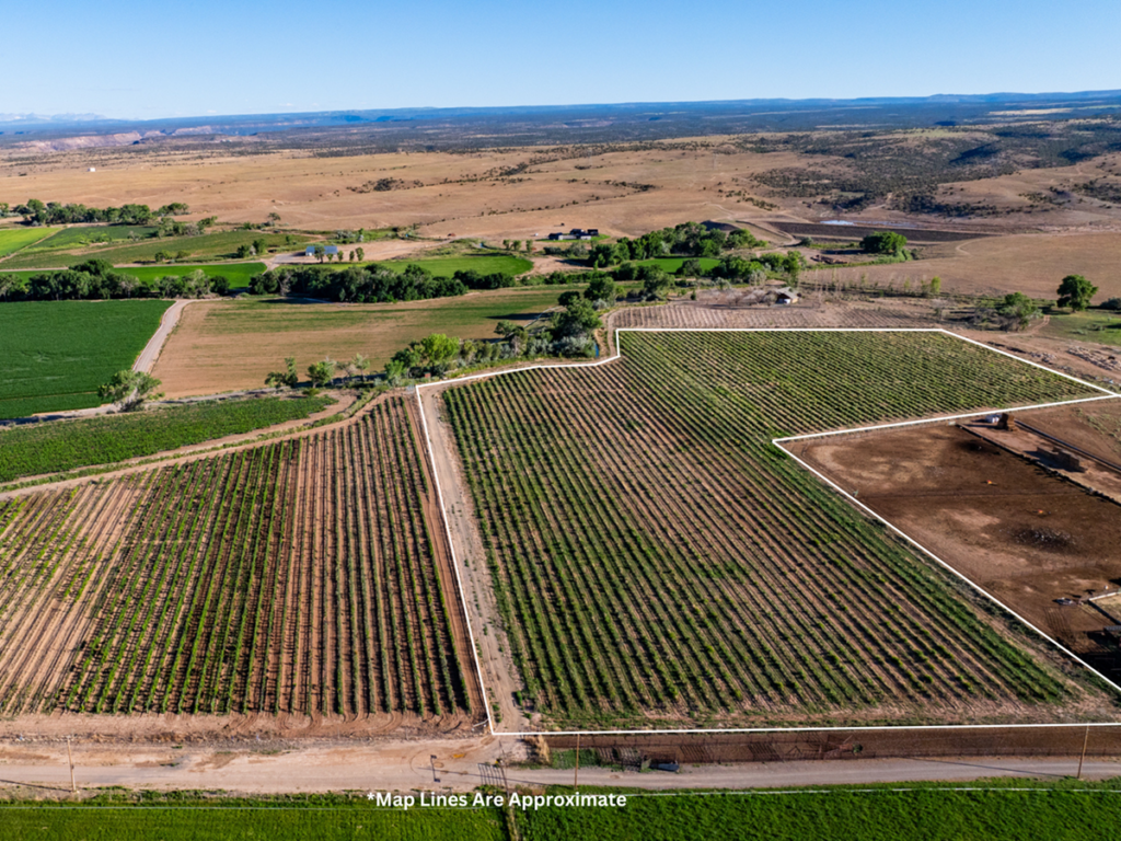 Property photo for land for sale in Montrose County Colorado