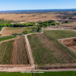 Property photo for land for sale in Montrose County Colorado