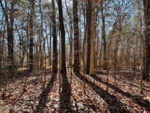 Property photo for land for sale in Perquimans County North Carolina