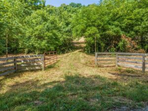 Property photo for land for sale in Giles County Tennessee