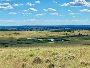 Property photo for land for sale in Blaine County Montana