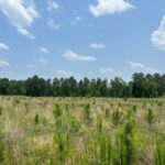 Property photo for land for sale in Columbia County Arkansas