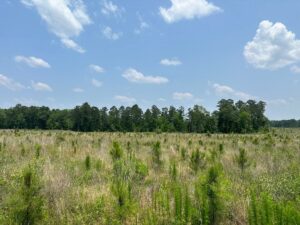 Property photo for land for sale in Columbia County Arkansas