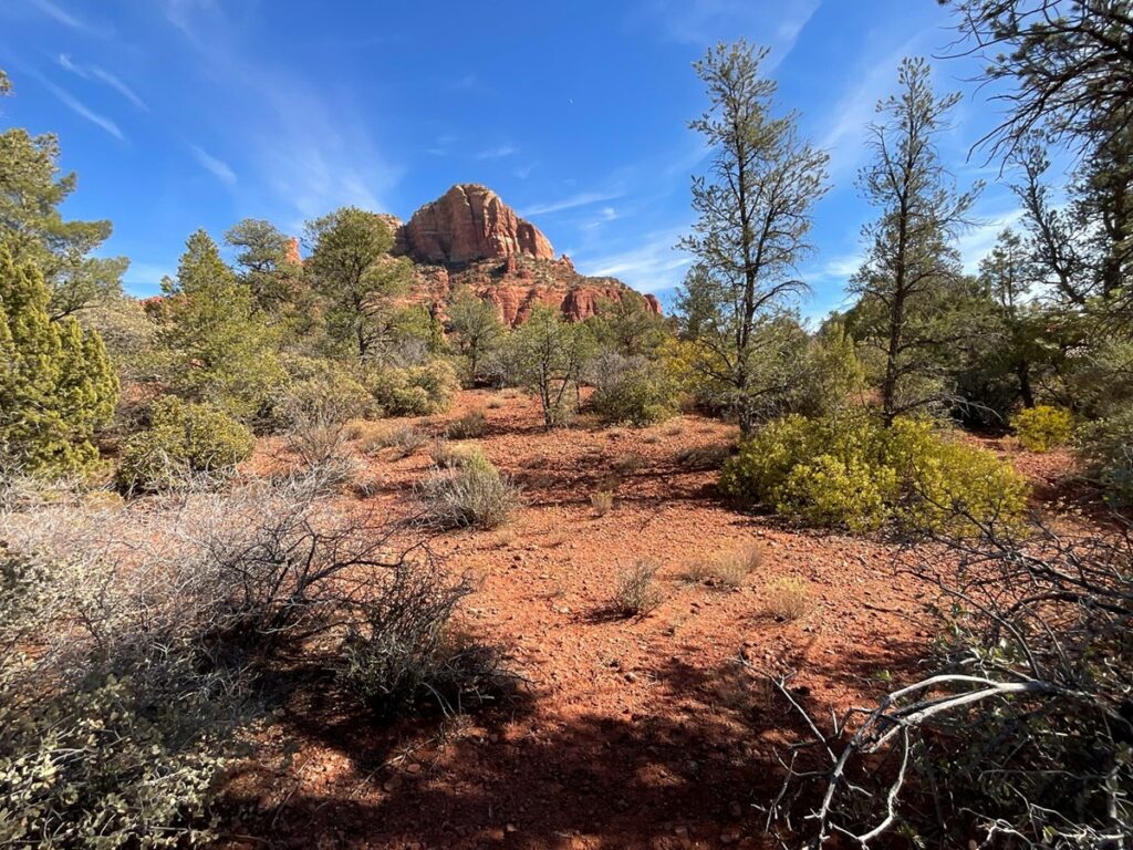 Property photo for land for sale in Coconino County Arizona