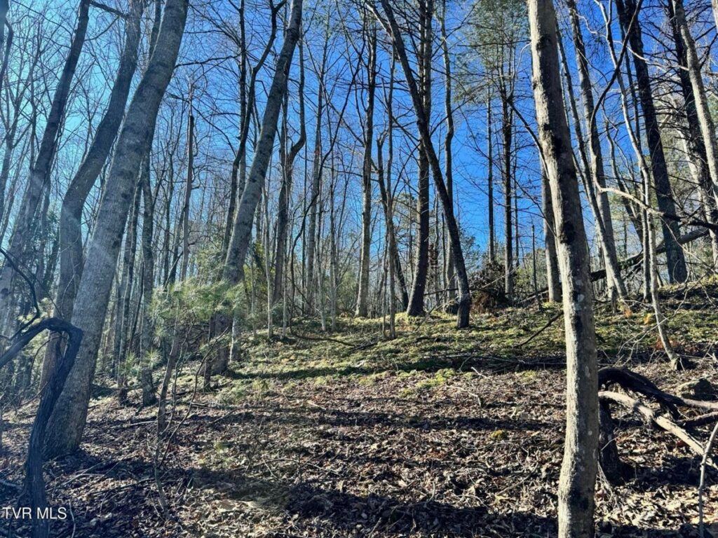 Property photo for land for sale in Johnson County Tennessee