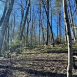 Property photo for land for sale in Johnson County Tennessee