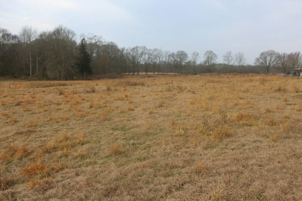 Property photo for land for sale in Lincoln County Mississippi