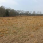 Property photo for land for sale in Lincoln County Mississippi