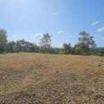 Property photo for land for sale in  County Panama