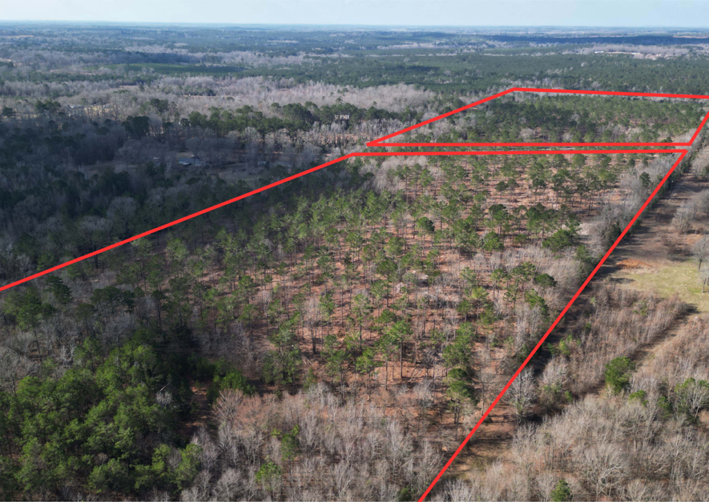 Property photo for land for sale in Cass County Texas