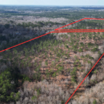 Property photo for land for sale in Cass County Texas