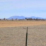 Property photo for land for sale in Torrance County New Mexico