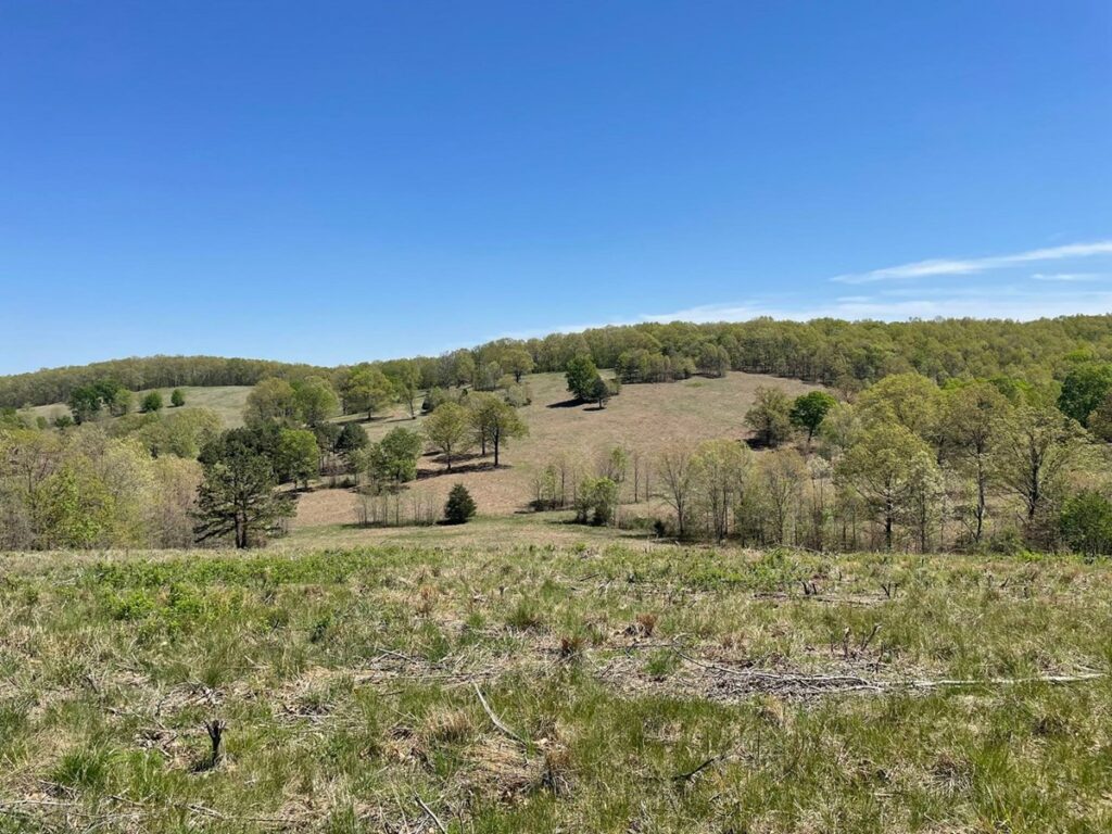 Property photo for land for sale in Douglas County Missouri