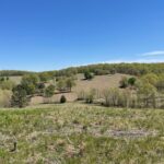 Property photo for land for sale in Douglas County Missouri