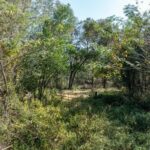 Property photo for land for sale in Suwannee County Florida