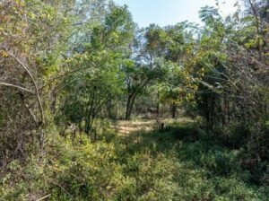 Property photo for land for sale in Suwannee County Florida