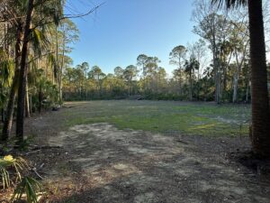 Property photo for land for sale in Levy County Florida