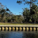 Property photo for land for sale in Dixie County Florida