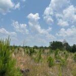 Property photo for land for sale in Columbia County Arkansas