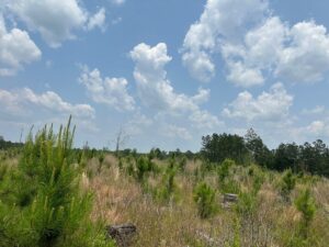 Property photo for land for sale in Columbia County Arkansas