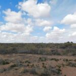 Property photo for land for sale in Luna County New Mexico