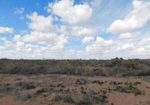 Property photo for land for sale in Luna County New Mexico