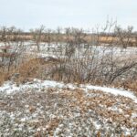 Property photo for land for sale in Valley County Montana