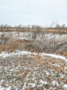 Property photo for land for sale in Valley County Montana