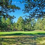 Property photo for land for sale in Ouray County Colorado