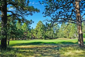 Property photo for land for sale in Ouray County Colorado