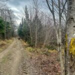 Property photo for land for sale in Oxford County Maine