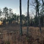 Property photo for land for sale in Van Buren County Arkansas