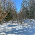 Property photo for land for sale in Penobscot County Maine