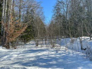 Property photo for land for sale in Penobscot County Maine