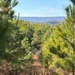 Property photo for land for sale in Rhea County Tennessee