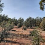 Property photo for land for sale in Yavapai County Arizona