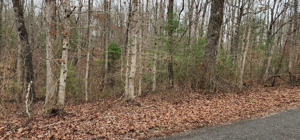 Property photo for land for sale in Cumberland County Tennessee