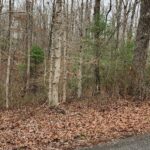 Property photo for land for sale in Cumberland County Tennessee