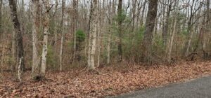 Property photo for land for sale in Cumberland County Tennessee