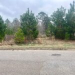 Property photo for land for sale in Houston County Alabama