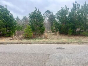 Property photo for land for sale in Houston County Alabama